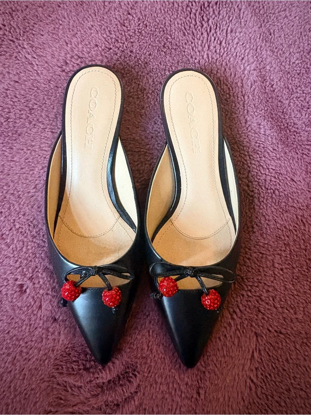 Coach Black Pointed-Toe Mules with Red Cherry Details